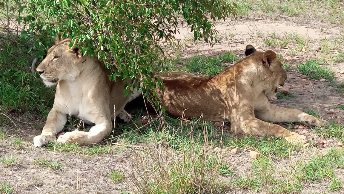 oia sunset santorini